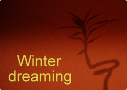 Wintertraum