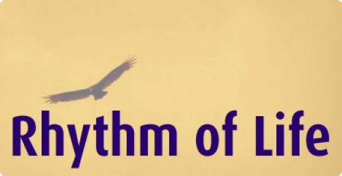 Rhythm of Life
