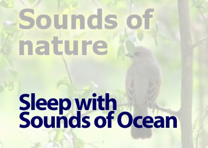 Sleep with Sounds of Ocean