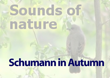 Schumann in Autumn