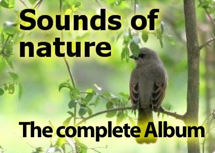 Sounds of Nature (incl. Binaural Beats)