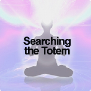 Searching the Totem