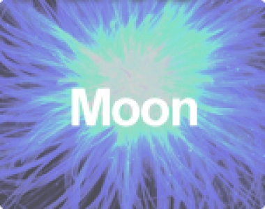 Mond