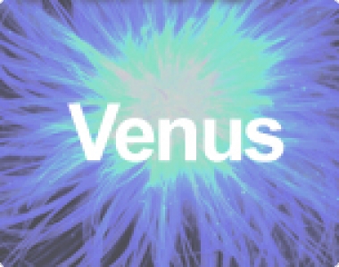 Venus