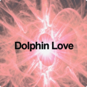Dolphin Love