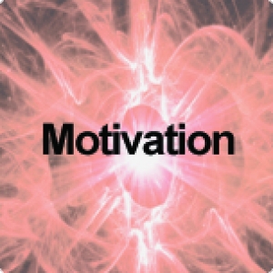 Motivation