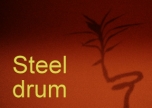 Steel Drum