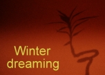 Wintertraum