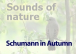 Schumann in Autumn