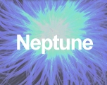 Neptun