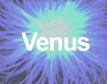 Venus