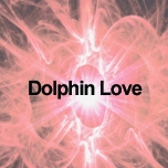 Dolphin Love
