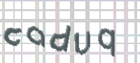 CAPTCHA Bild zum Spamschutz 